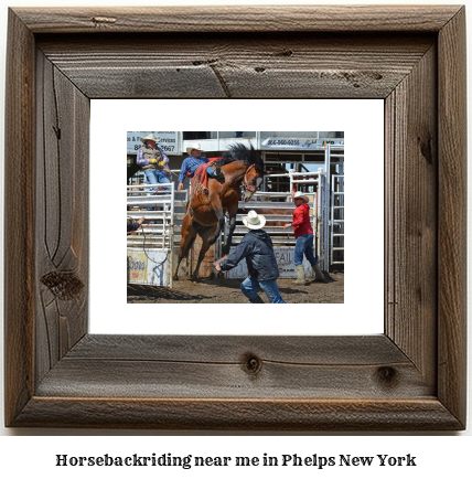 horseback riding near me in Phelps, New York